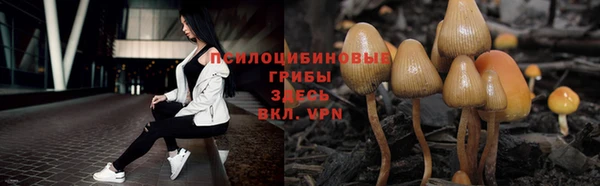 дживик Балахна