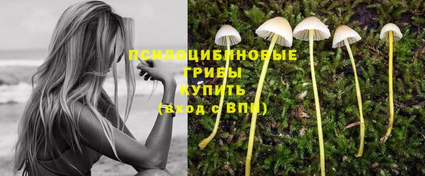 дживик Балахна